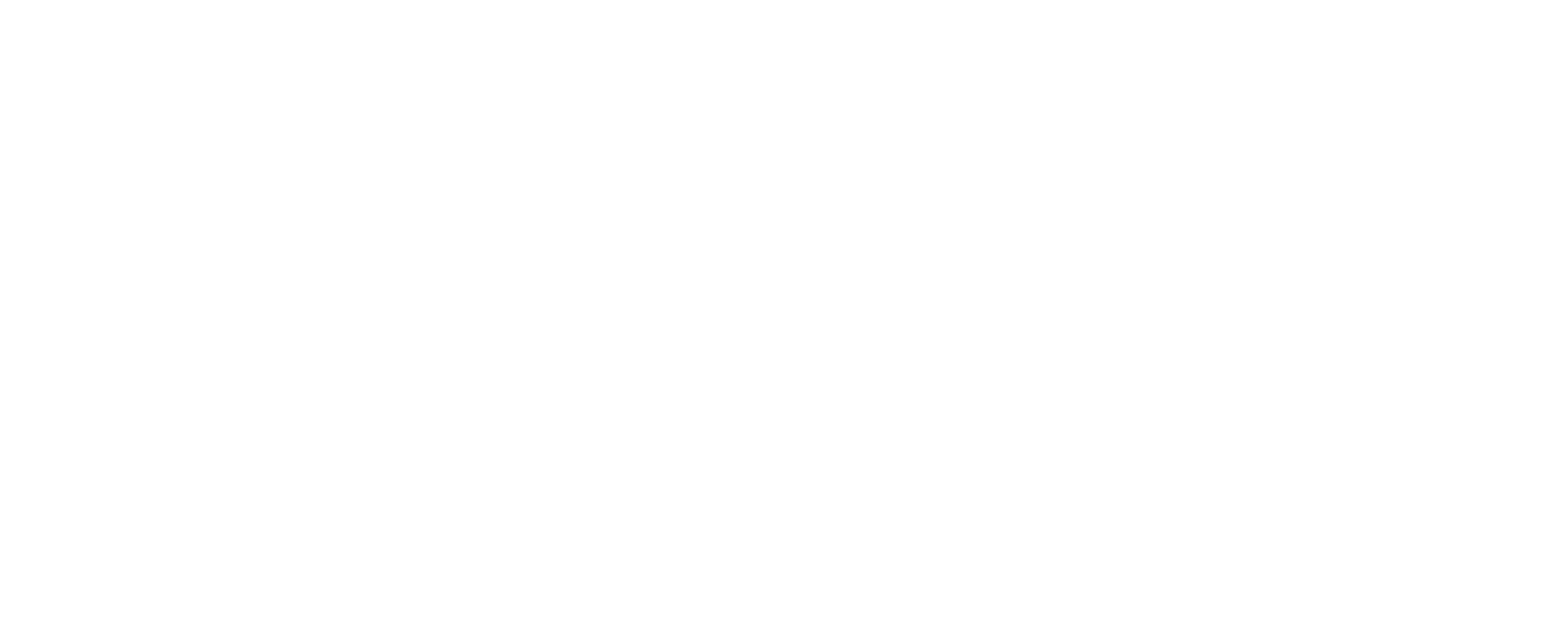 Puli Logo